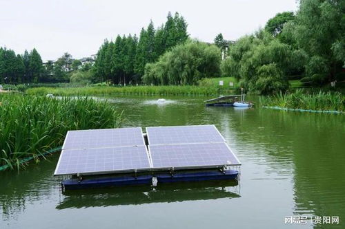 观山湖区水环境治理成效显著 清波潋滟，生态美如画