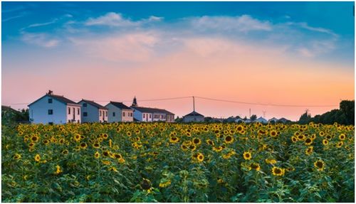 年度环境治理榜单公布 成果、挑战与展望