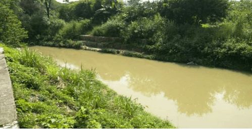 治水攻坚战 | 新华街水环境治理进行时——9月11-13日环境检测服务战报