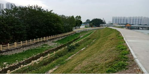 治水攻坚战｜新华街水环境治理进行时，12月13日战报及环境检测服务动态