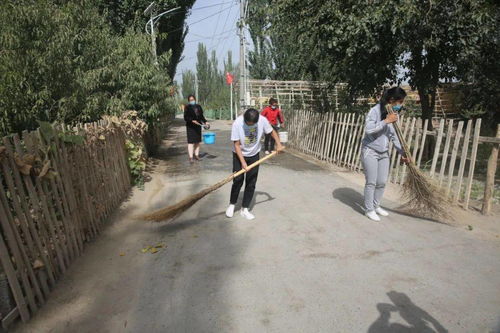 健康防疫 庭院整洁 乡村环境优化与群众健康保障