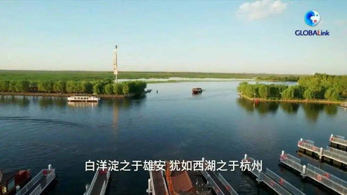 大美白洋淀 环境检测服务助力生态保护