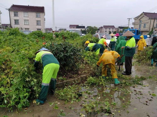 一把扫帚管到底，扫出文明新风貌——环境治理之路